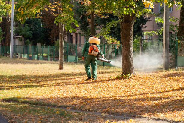 Best Pest Control for Businesses  in Fulton, MD