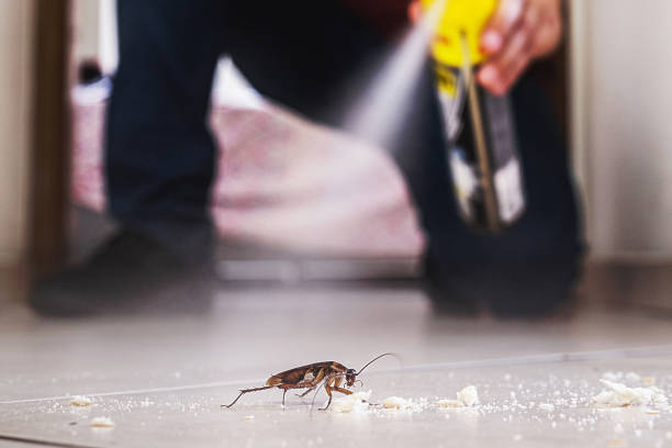 Wildlife Control Services in Fulton, MD