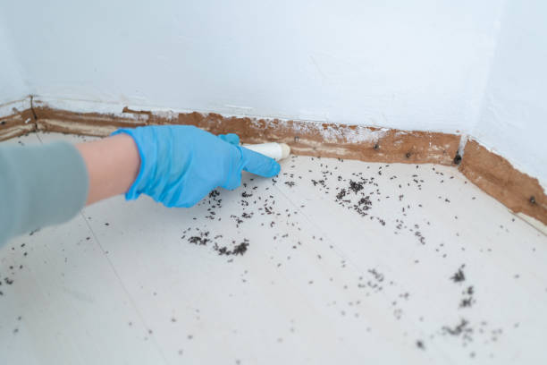 Best Pest Prevention Services  in Fulton, MD